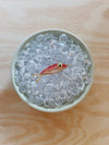 TACKLE BOX - Beaded Fish Charms (Large Flower Eye)