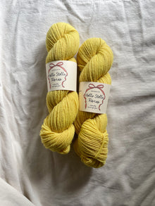  Wild Wool 2 Ply WORSTED - 04