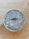 TACKLE BOX - Beaded Fish Charms (Medium)