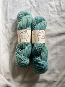  Wild Wool 2 Ply WORSTED - 19