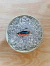 TACKLE BOX - Beaded Fish Charms (Extra Large)