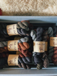  MINI SKEIN BUNDLE * Winter Prelude