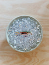 TACKLE BOX - Beaded Fish Charms (Large)