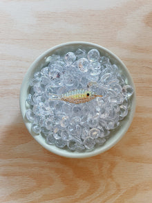  TACKLE BOX - Beaded Fish Charms (Extra Large)