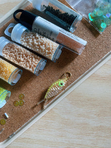  Catch of the Month Fish Club: Japanese Rice Fish (PREORDER)