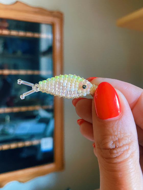 Catch of the Month Fish Club: Japanese Rice Fish (PREORDER)