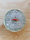 TACKLE BOX - Beaded Fish Charms (Extra Large)